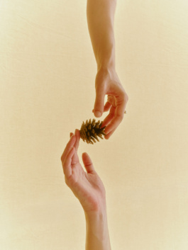 Two hands passing a pinecone to each other